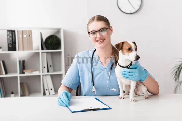 When to go to the vet without delay